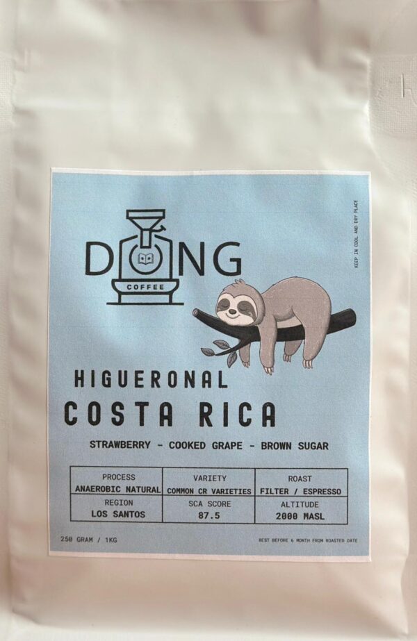 Costarica Higueronal